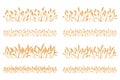 Vector silhouette of wheat. Set. Wheat in a field on a white background Royalty Free Stock Photo