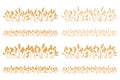 Vector silhouette of wheat. Set. Wheat in a field on a white background Royalty Free Stock Photo
