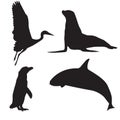 Vector silhouettes of animals