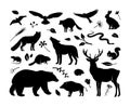 Vector silhouettes animals set. Deer, hare, fox, hedgehog, squirrel, wolf, bear, snake, beaver, raccoon, mouse, wild boar and