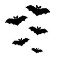 Vector silhouettes of bats