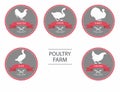 Vector silhouettes of chicken, rooster, goose, turkey, duck. label templates with farm birds Royalty Free Stock Photo