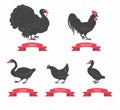 Vector silhouettes of chicken, rooster, goose, turkey, duck
