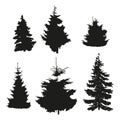 Vector silhouettes of different spruce trees. Royalty Free Stock Photo