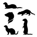 Vector silhouettes of a ferret