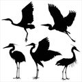 Vector silhouettes of heron Royalty Free Stock Photo