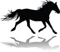 Vector silhouettes of horse Royalty Free Stock Photo