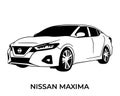Vector silhouettes, icons of Nissan brand cars