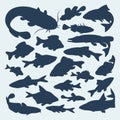 Vector silhouettes of river fish