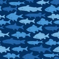 Vector silhouettes of river fishes for fishing web site or t-shirt print. Royalty Free Stock Photo