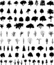 Vector trees Royalty Free Stock Photo