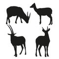 Vector silhouettes of wild goats Royalty Free Stock Photo