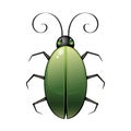 Vector simple cartoon green bug