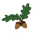 Vector simple color illustration of bunch of three acorns with leaves isolated. Nature, forest clip art, flat style