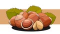 Vector simple illustration of a group of hazelnuts on a label.