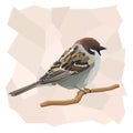 Vector simple illustration of sparrow bird.