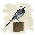 Vector simple illustration of wagtail bird.