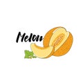 Vector simple isolated image of a melon