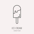 Vector Simple Logo Template Ice Cream