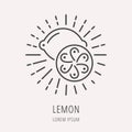 Vector Simple Logo Template Lemon