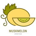Vector Simple Logo Template Muskmelon