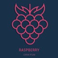 Vector Simple Logo Template Raspberry Royalty Free Stock Photo