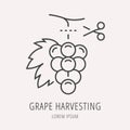 Vector Simple Logo Template Wine Harvesting