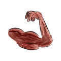 Simple Sketch Arm of Muscle Man, with water color effect Royalty Free Stock Photo
