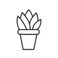 simple thin line drawing icon flower potted isolated black on white background