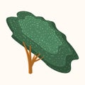 Vector simplified tree image, eco friendly minimalistic tree