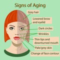 Vector sing of aging face with two types of skin, young and old Royalty Free Stock Photo