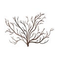 Vector Single Bare Brown Bush