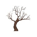 Vector Single Cartoon Brown Bare Tree