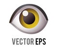 Vector single human eye, looking forward icon