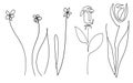 Vector single one line drawn set of flowers. flower handdrawing outline illustration isolated on white background. Botanical Royalty Free Stock Photo