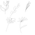 Vector single one line drawn set of flowers. flower handdrawing outline illustration isolated on white background. Botanical Royalty Free Stock Photo