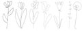 Vector single one line drawn set of flowers. flower handdrawing outline illustration isolated on white background. Botanical Royalty Free Stock Photo