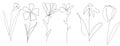 vector single one line drawn set of flowers. flower handdrawing outline illustration isolated on white background Royalty Free Stock Photo