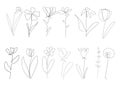 vector single one line drawn set of flowers. flower handdrawing outline illustration isolated on white background Royalty Free Stock Photo