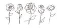 Vector Single One Line Drawn Set Of Flowers. Rose Flower Drawing Outline Illustration Isolated On White Background. Botanical