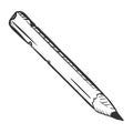 Vector Single Sketch Old Beat-up Pencil Royalty Free Stock Photo