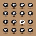 Vector of single white sheep in black sheep group.