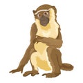 Vector Sitting Monkey Isolated