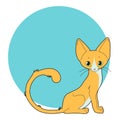 Vector sitting orange cat on the turquoise circle