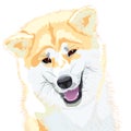 Vector Sketch Akita Inu Japanese Dog smiles