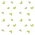 Vector sketch background fruit. Illustration banana pattern