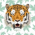 Vector sketch of bengal tiger head.Animal print.Wildlife.Seamless green leaves background. - Vector