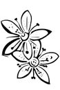 Vector sketch blooming beautiful flower