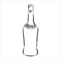 Vector of Sketch Bottles. Vector of Sketch Bottles. glass bottle, vector sketch illustration