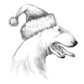 Vector sketch of Bull terrier or Bullterrier dog head profile in Santa holiday hat with open mouth on white background. Royalty Free Stock Photo